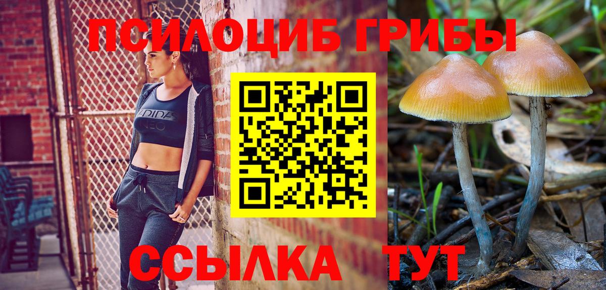 Галлюциногенные грибы MAGIC MUSHROOMS Армавир